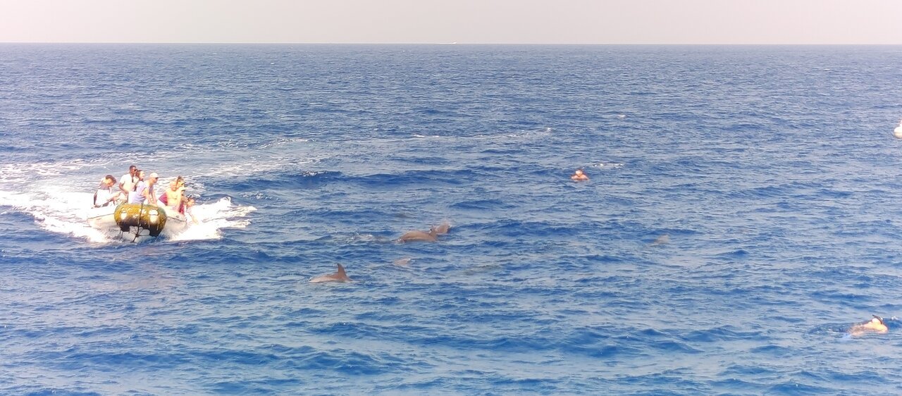 Hurghada: Dolphin House-Tour mit Schnorcheln und Bananenbootfahrt