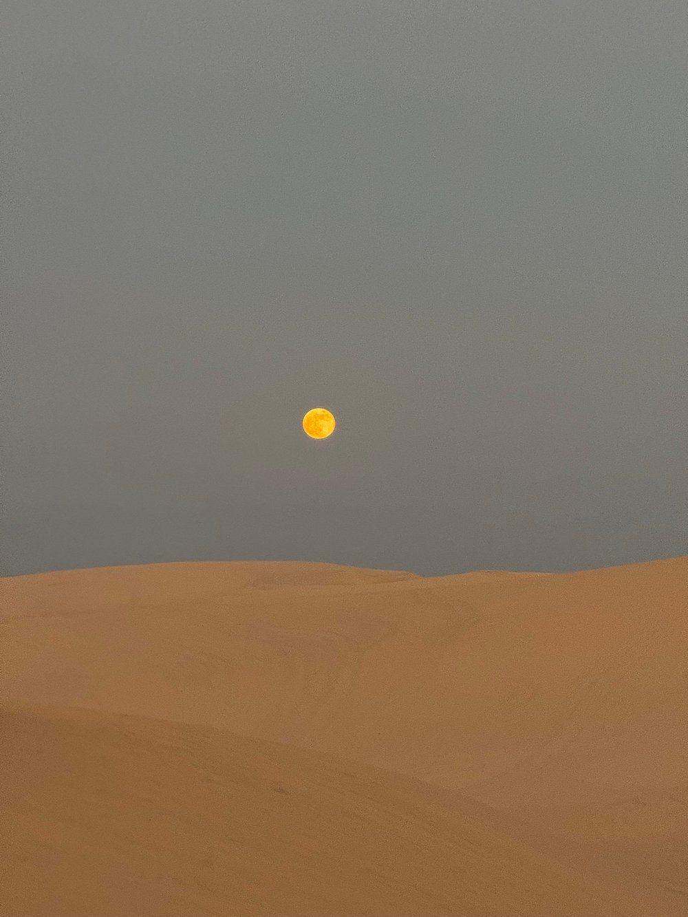Doha : Safari dans le désert avec sandboard, visite de la mer intérieure et balade à dos de chameau en option