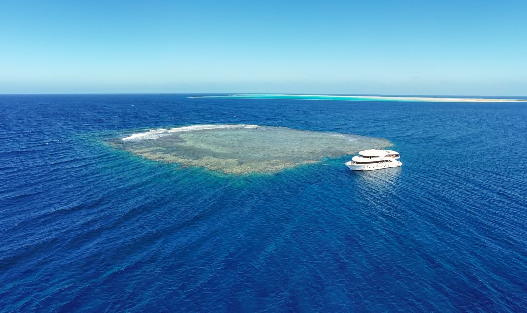 Marsa Alam: Öğle Yemeği ile Marsa Mübarek Şnorkelli Dalış Tekne Turu