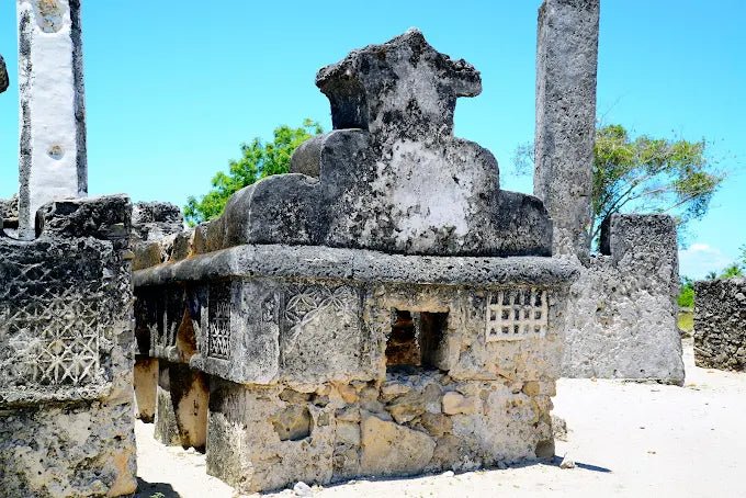 Dar es Salaam: 4 - Days Private Bagamoyo and Saadani Safari with Beach and Wildlife Tour
