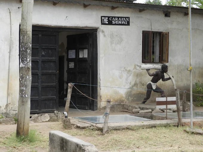 Dar es Salaam: 4 - Days Private Bagamoyo and Saadani Safari with Beach and Wildlife Tour