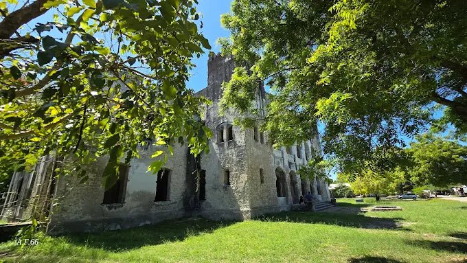Dar es Salaam: 4 - Days Private Bagamoyo and Saadani Safari with Beach and Wildlife Tour