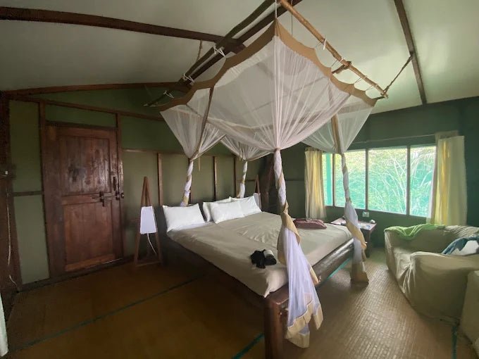 Dar es Salaam: 4 - Days Private Bagamoyo and Saadani Safari with Beach and Wildlife Tour