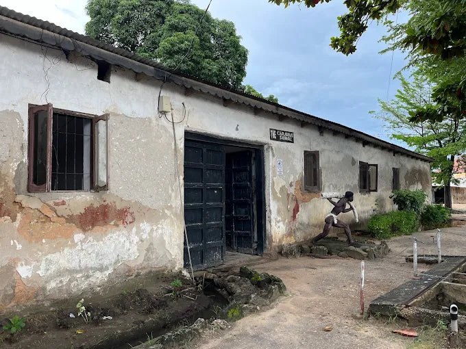 Dar es Salaam: 4 - Days Private Bagamoyo and Saadani Safari with Beach and Wildlife Tour