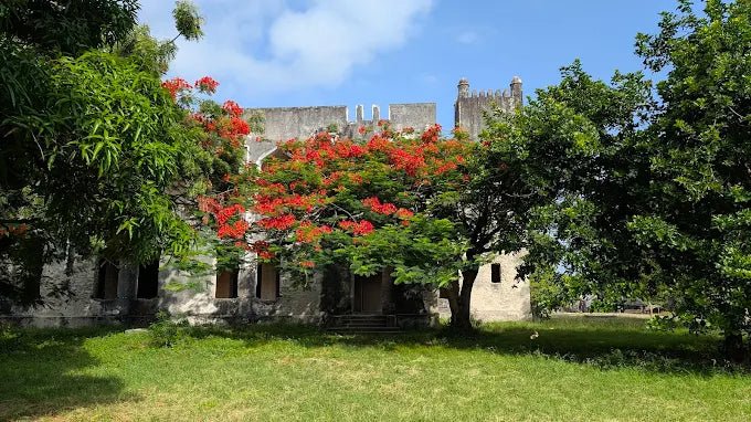 Dar es Salaam: 4 - Days Private Bagamoyo and Saadani Safari with Beach and Wildlife Tour