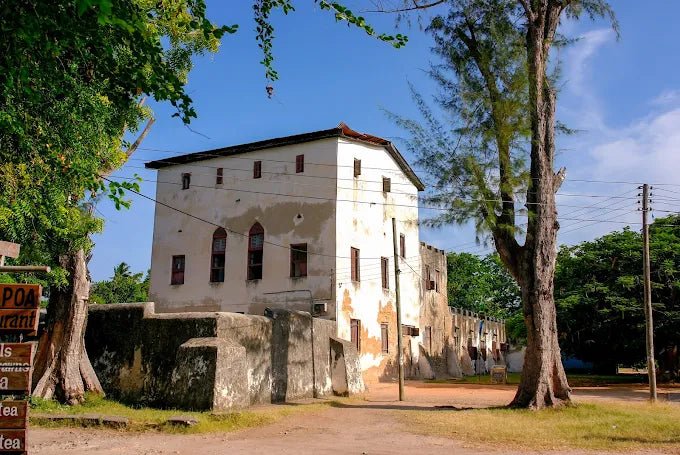 Dar es Salaam: 4 - Days Private Bagamoyo and Saadani Safari with Beach and Wildlife Tour