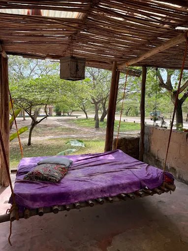 Dar es Salaam: 4 - Days Private Bagamoyo and Saadani Safari with Beach and Wildlife Tour