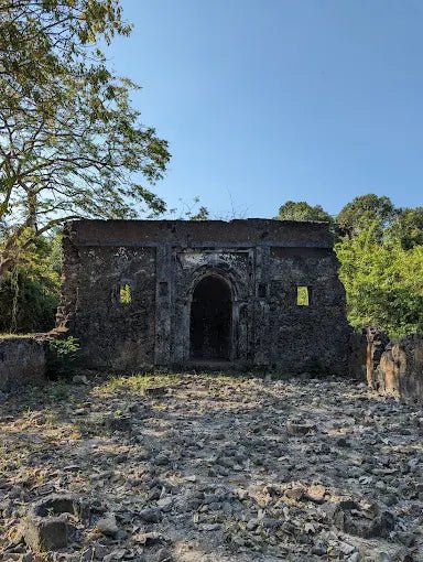 Dar es Salaam: 4 - Days Private Bagamoyo and Saadani Safari with Beach and Wildlife Tour