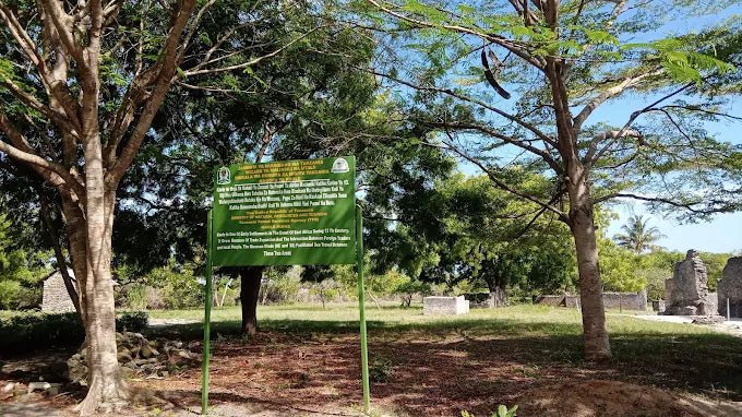 Dar es Salaam: 4 - Days Private Bagamoyo and Saadani Safari with Beach and Wildlife Tour