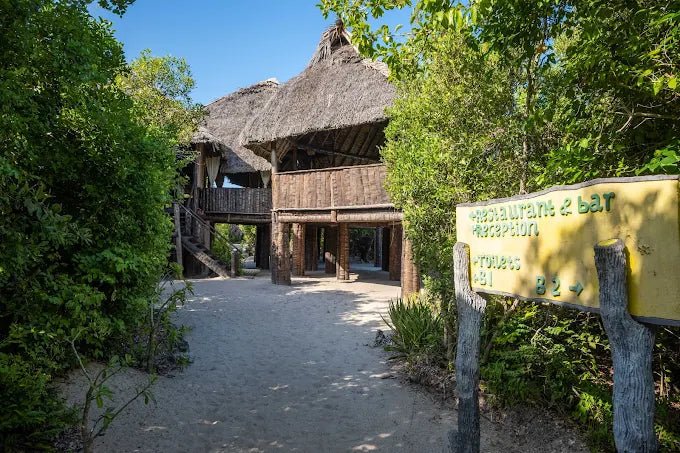 Dar es Salaam: 4 - Days Private Bagamoyo and Saadani Safari with Beach and Wildlife Tour