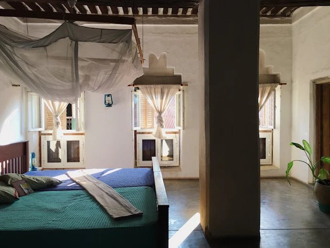 Dar es Salaam: 4 - Days Private Bagamoyo and Saadani Safari with Beach and Wildlife Tour
