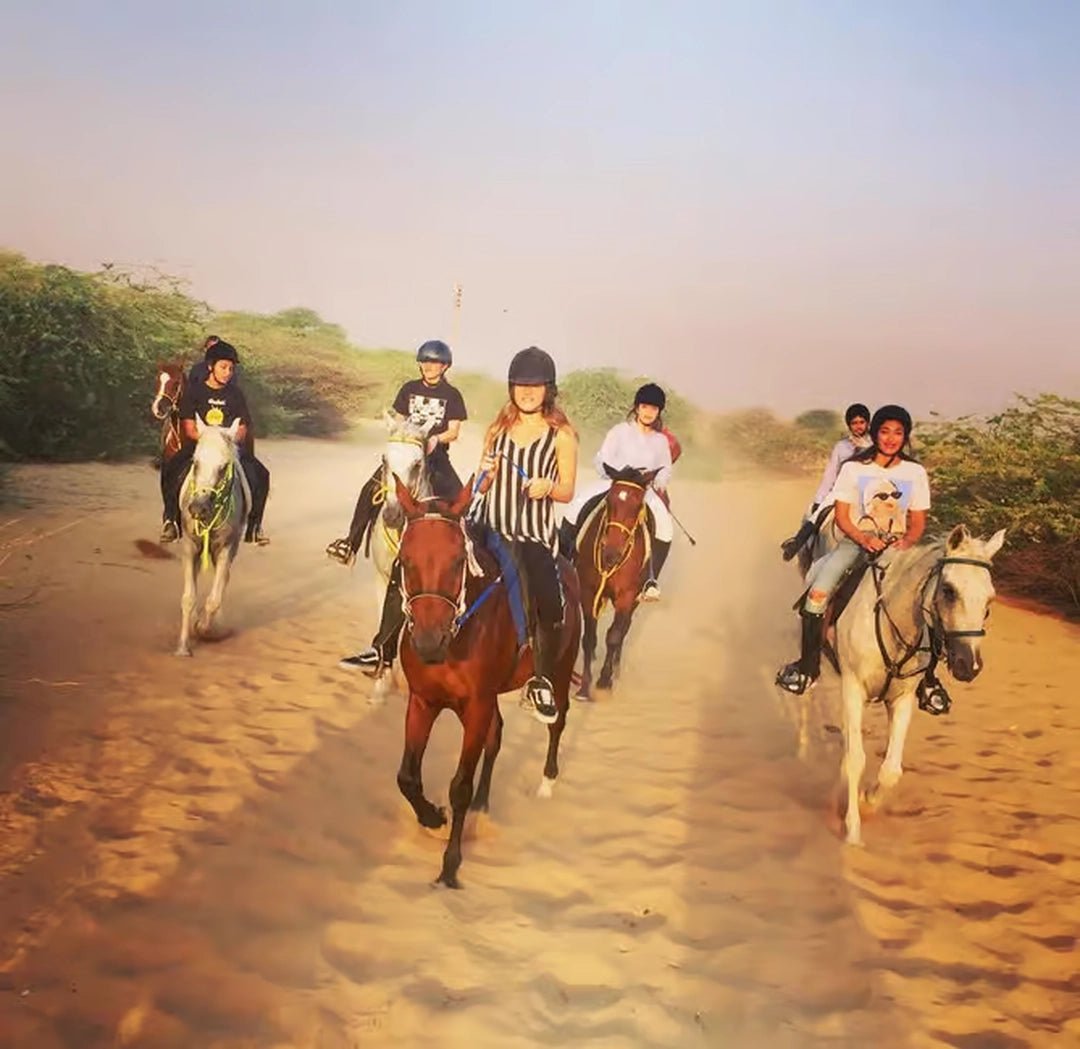 Doha: Arabian Horse Ride Experience with Hotel Pickup