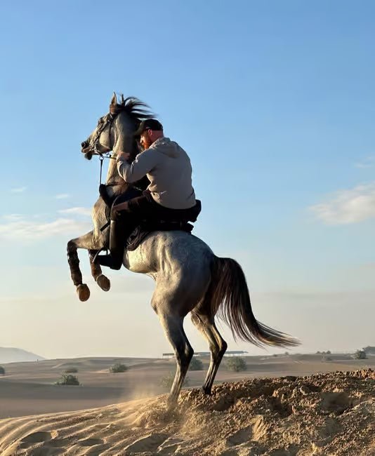 Doha: Arabian Horse Ride Experience with Hotel Pickup