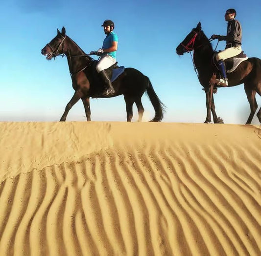 Doha: Arabian Horse Ride Experience with Hotel Pickup