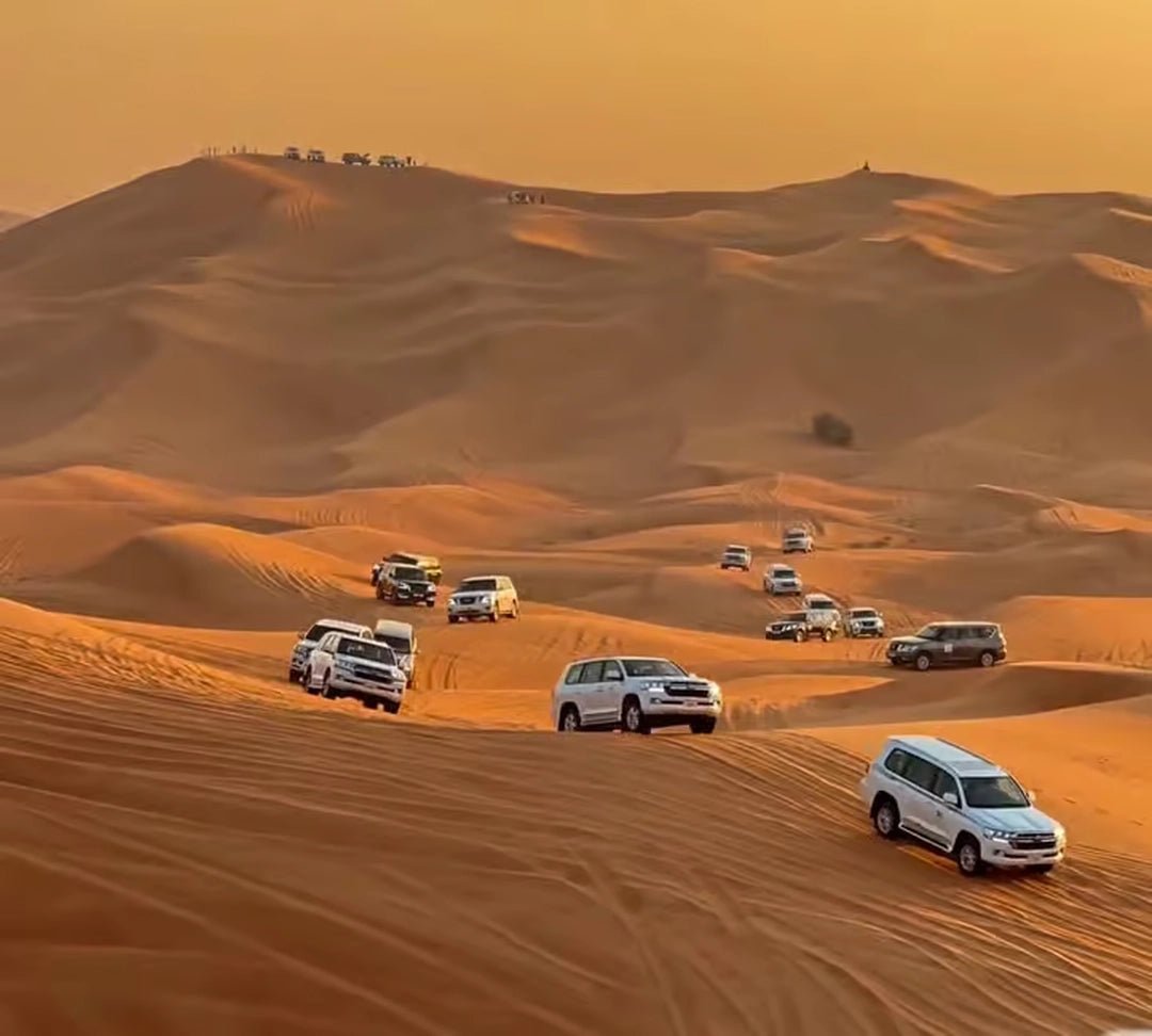 Doha: Arabian Horse Ride Experience with Hotel Pickup