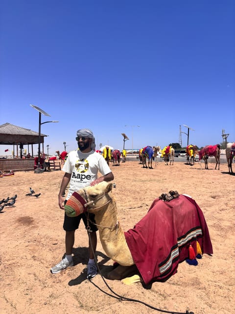 Doha: Desert Safari, Quad Bike Ride, Camel Ride, Sandboarding, and Inland Sea Visit