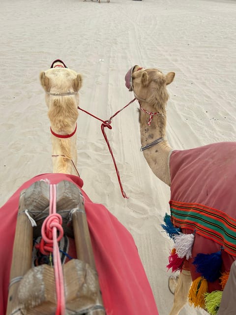 Doha: Desert Safari, Quad Bike Ride, Camel Ride, Sandboarding, and Inland Sea Visit