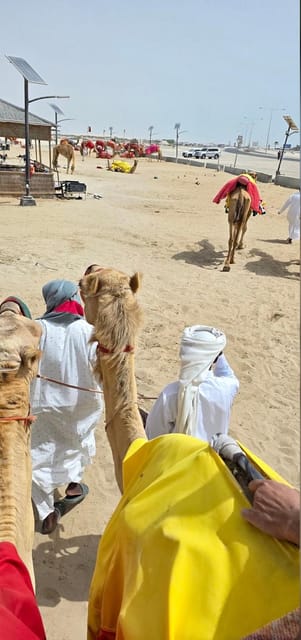 Doha: Desert Safari Tour with Dune Bashing and Inland Sea Visit