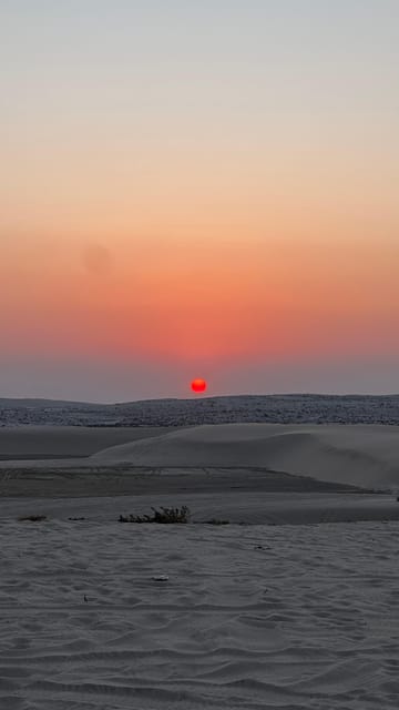 Doha: Desert Safari Tour with Dune Bashing and Inland Sea Visit