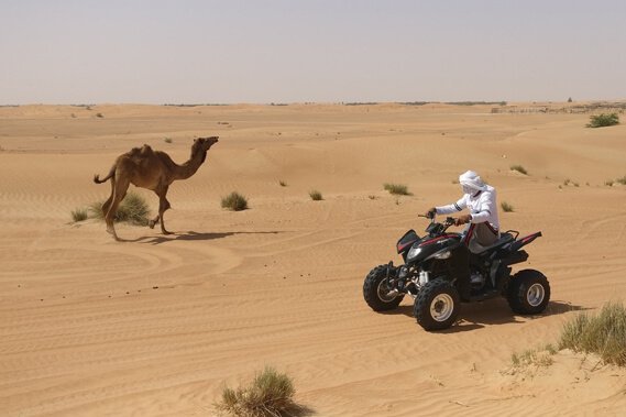 Doha: Desert Safari with ATV Ride, Buggy Tour and Inland Sea