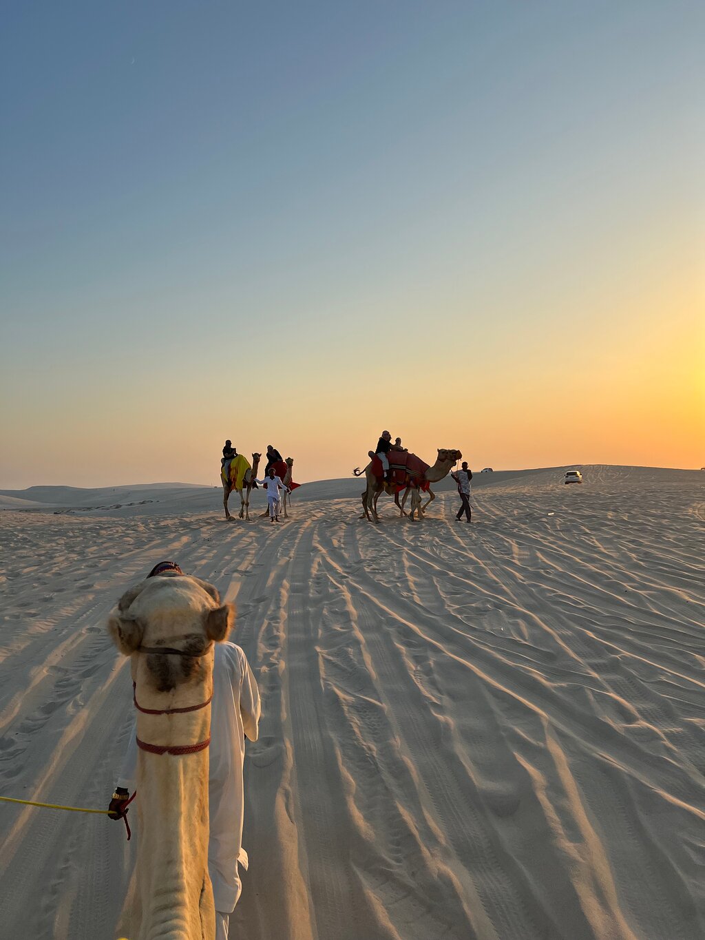 Doha: Desert Safari with Quadbike, Dune Bashing and Inland Sea Visit