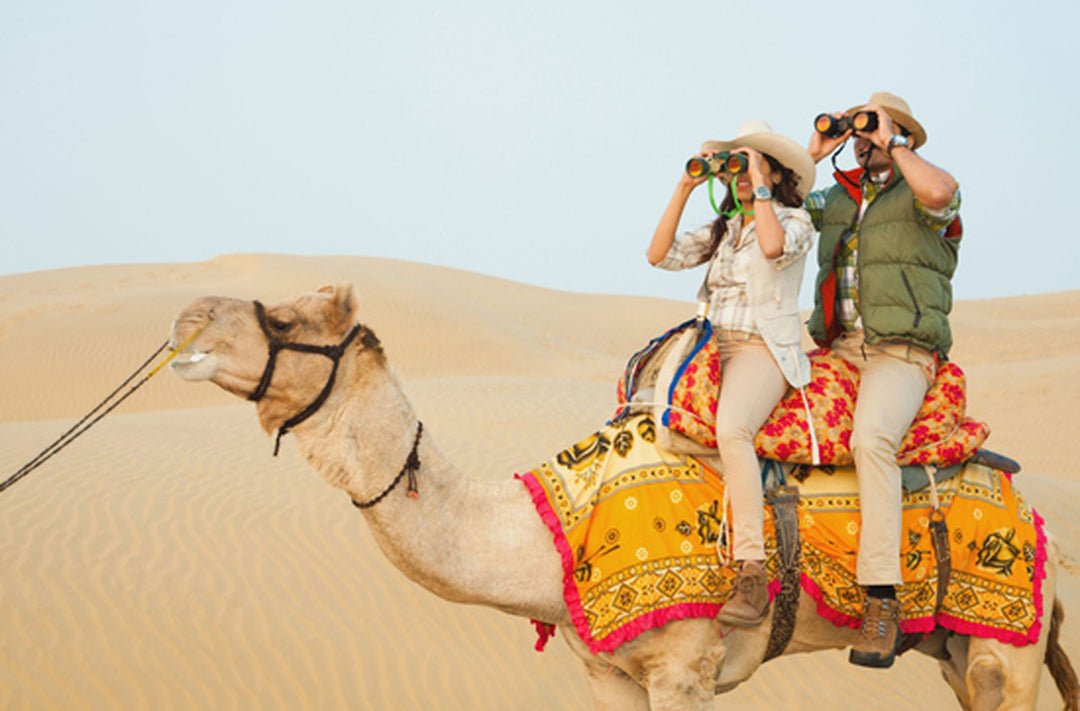 Doha: Family - Friendly Desert Safari Tour with Camel Ride and Falconry