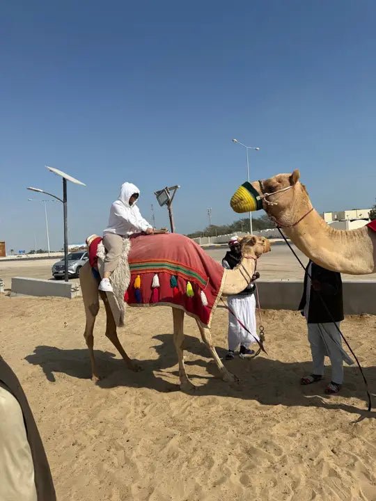Doha: Half Day Desert Safari, Camel Riding, ATV and Sand Surfing