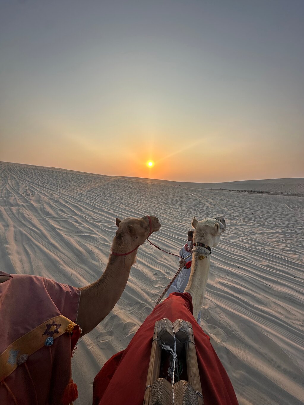 Doha: Half - Day Desert Safari, Sandboarding, Camel Ride and Inland Sea Tour