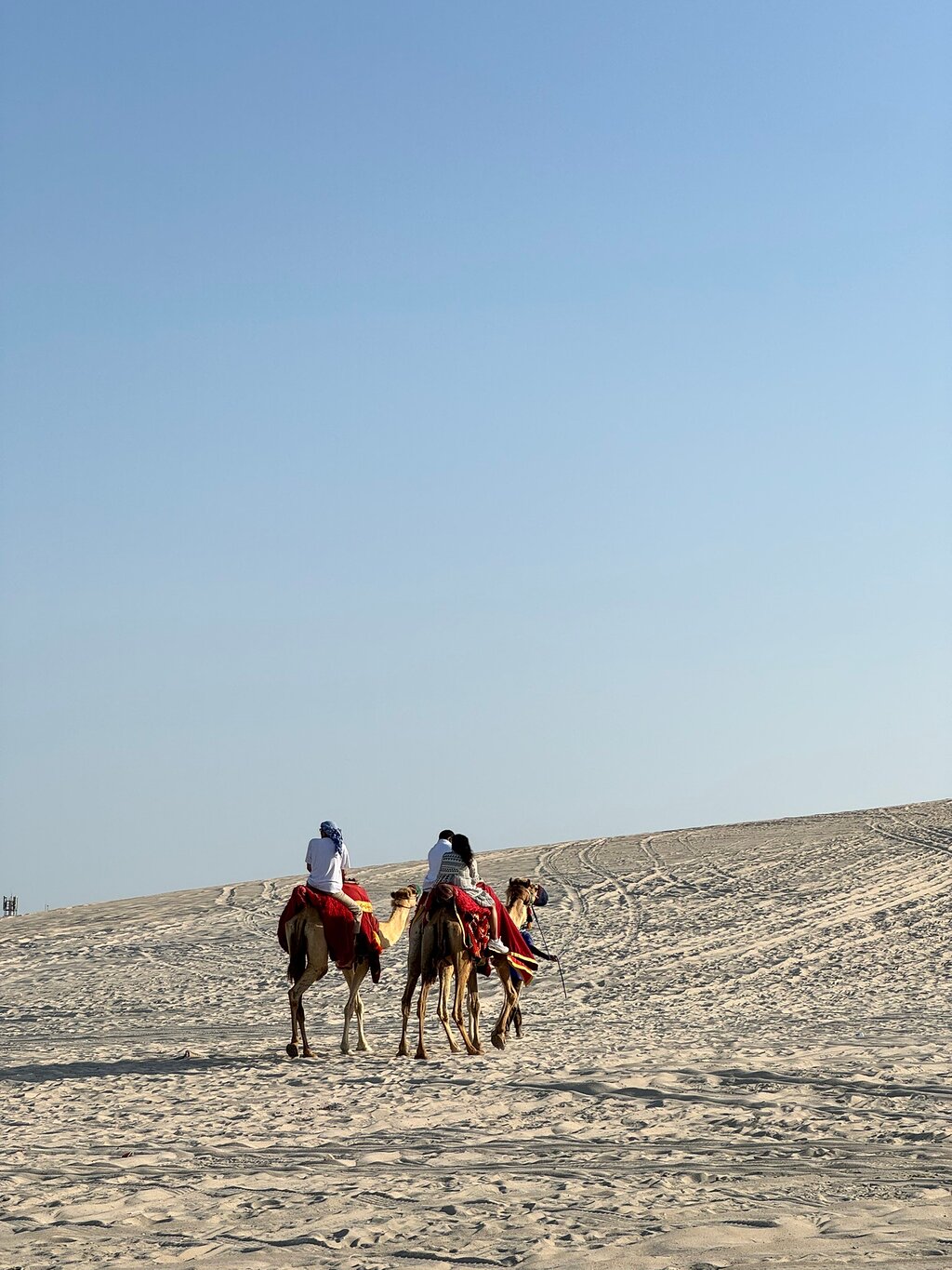 Doha: Half - Day Desert Safari, Sandboarding, Camel Ride and Inland Sea Tour