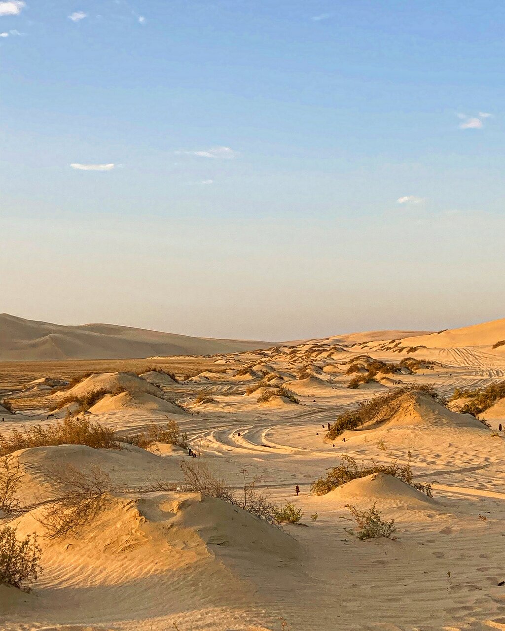 Doha: Half - Day Desert Safari, Sandboarding, Camel Ride and Inland Sea Tour