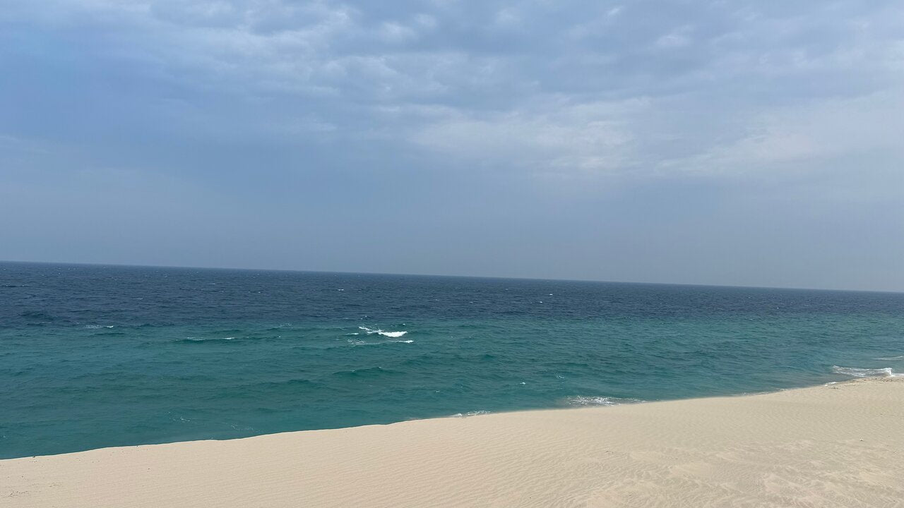 Doha: Half - Day Desert Safari, Sandboarding, Camel Ride and Inland Sea Tour