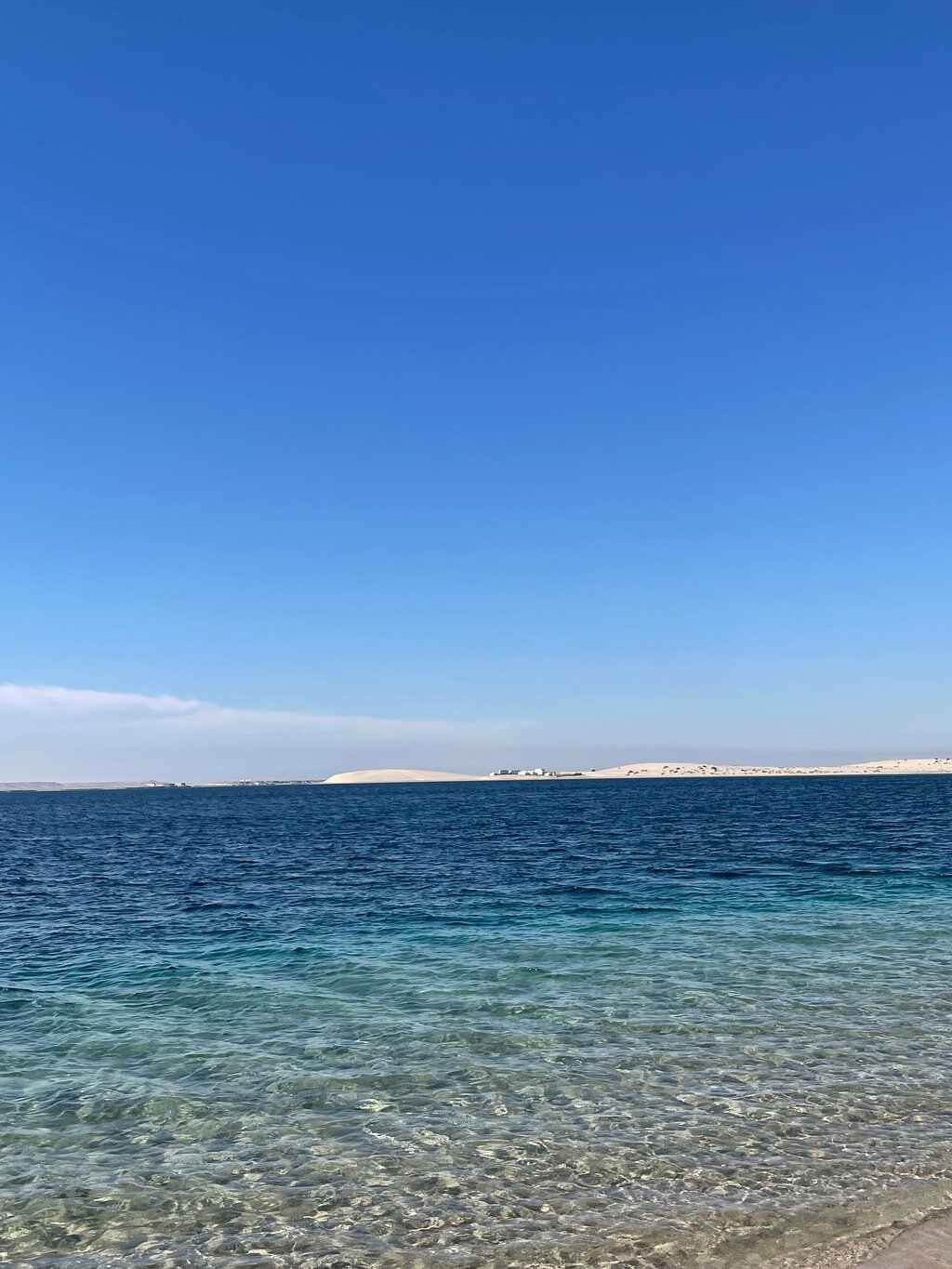 Doha: Half - Day Desert Safari, Sandboarding, Camel Ride and Inland Sea Tour