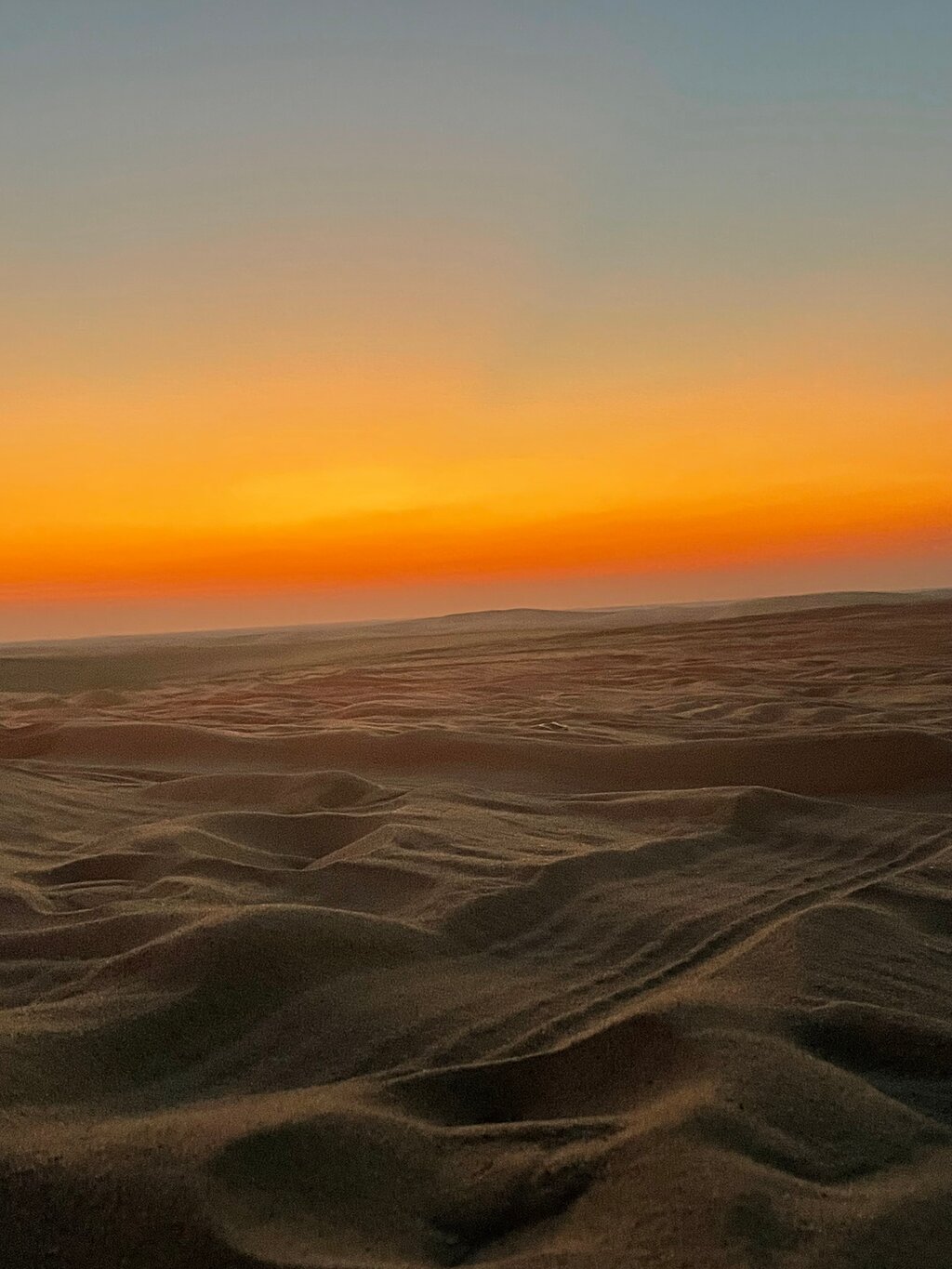 Doha: Half - Day Desert Safari, Sandboarding, Camel Ride and Inland Sea Tour