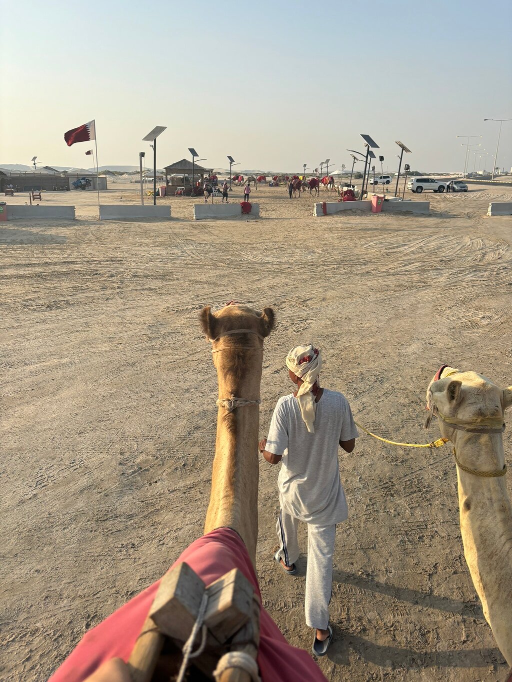 Doha: Half - Day Desert Safari, Sandboarding, Camel Ride and Inland Sea Tour