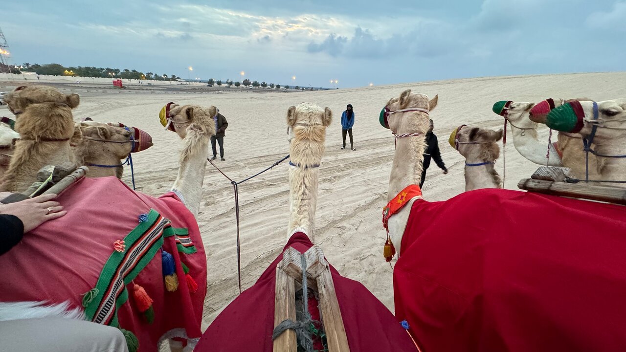 Doha: Half - Day Desert Safari, Sandboarding, Camel Ride and Inland Sea Tour