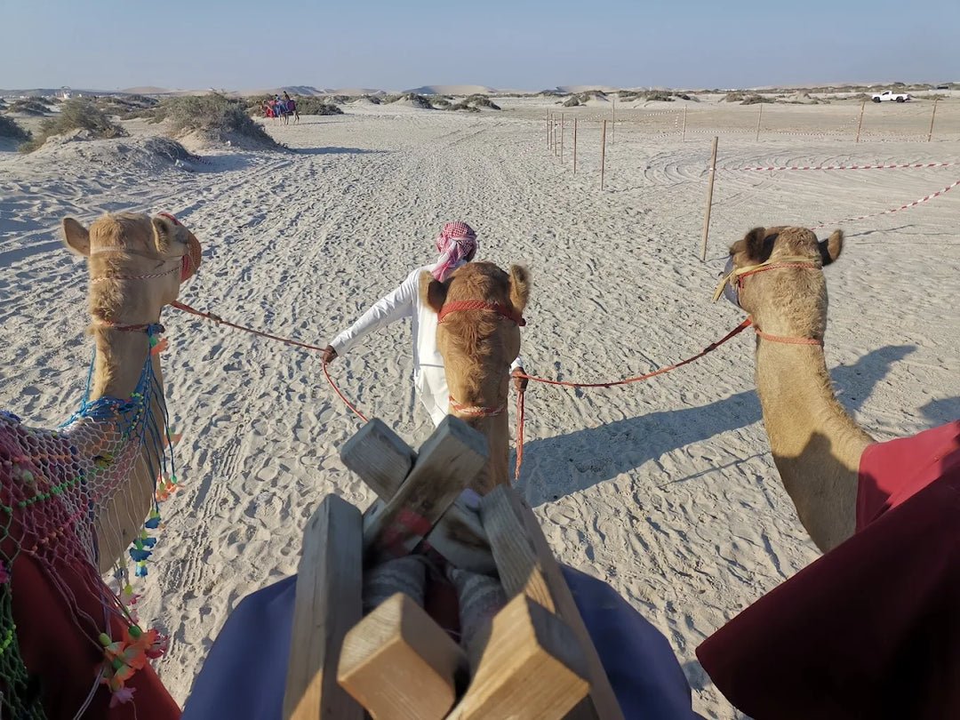 Doha: Half - Day Desert Safari with Dune Bashing and Camel Ride