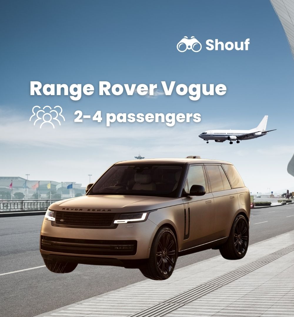 Doha: Hamad International Airport Transfer by Car or Van