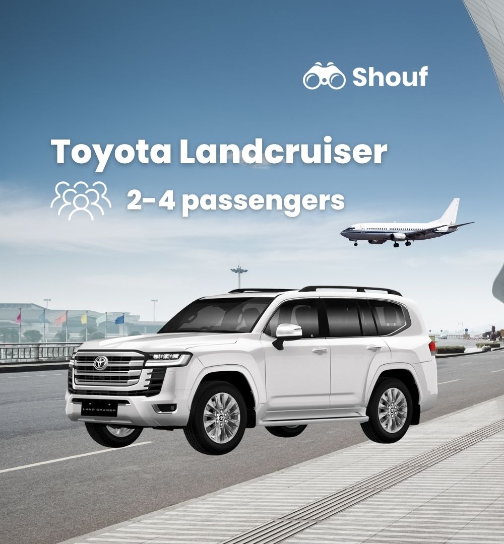 Doha: Hamad International Airport Transfer by Car or Van