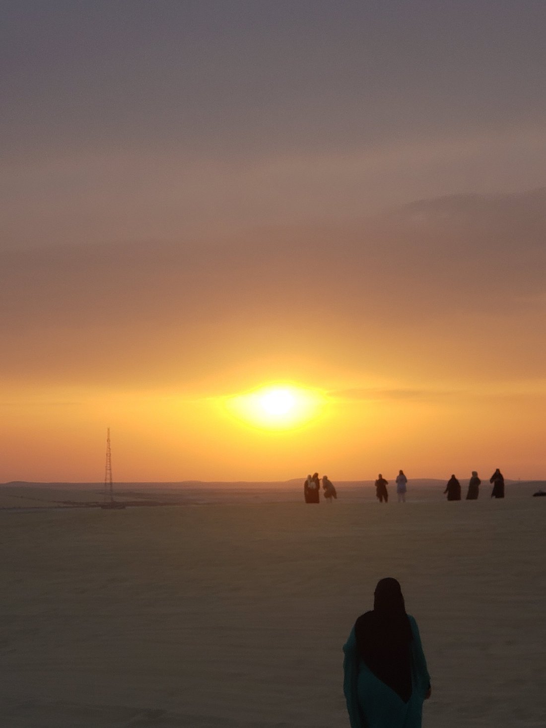 Doha: Horseback Riding Tour in Sealine Desert with Traditional Majlis Visit