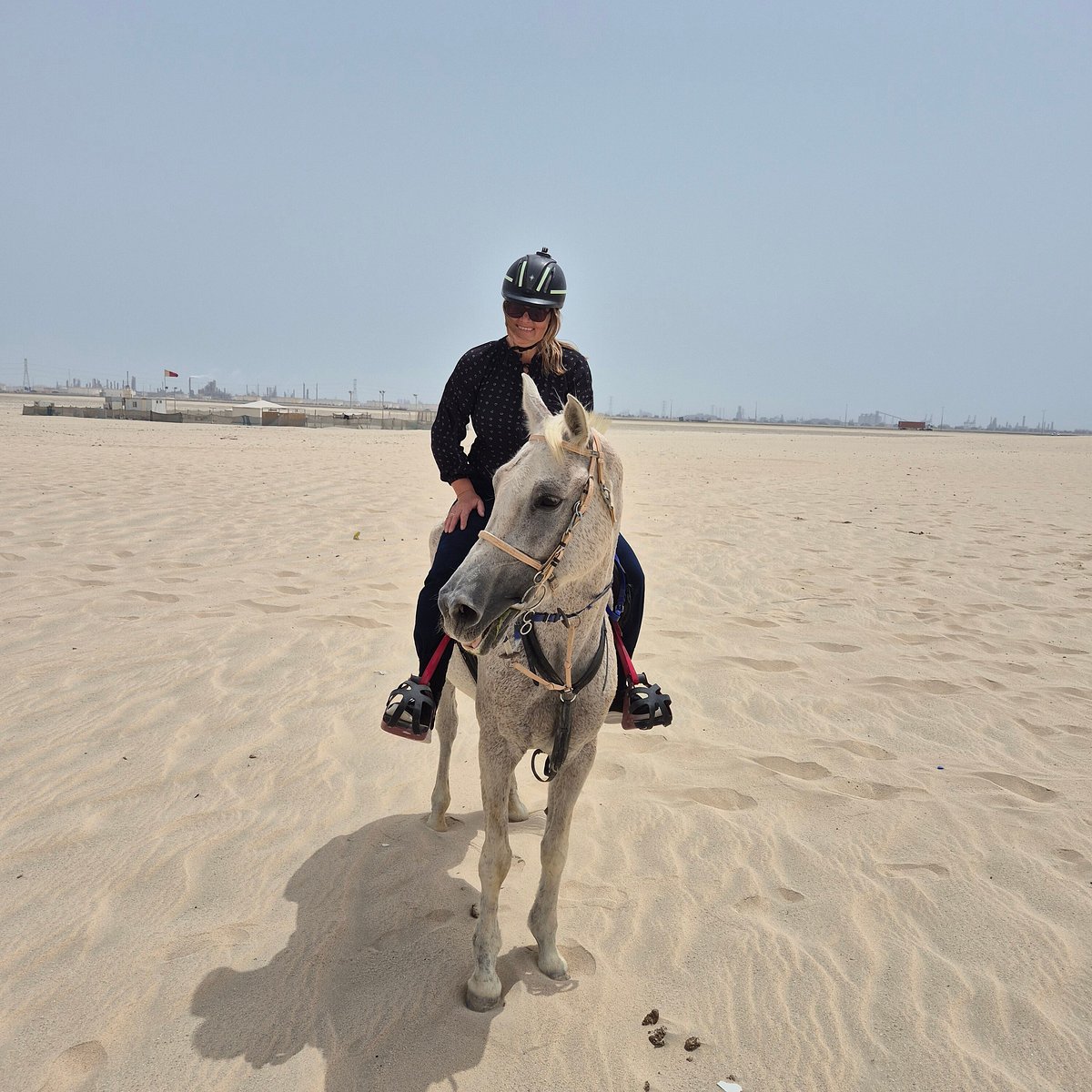 Doha: Horseback Riding Tour in Sealine Desert with Traditional Majlis Visit