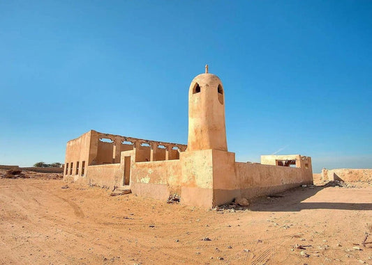 Doha: North Qatar Tour with Mangroves, Purple Island and Al Zubara Fort