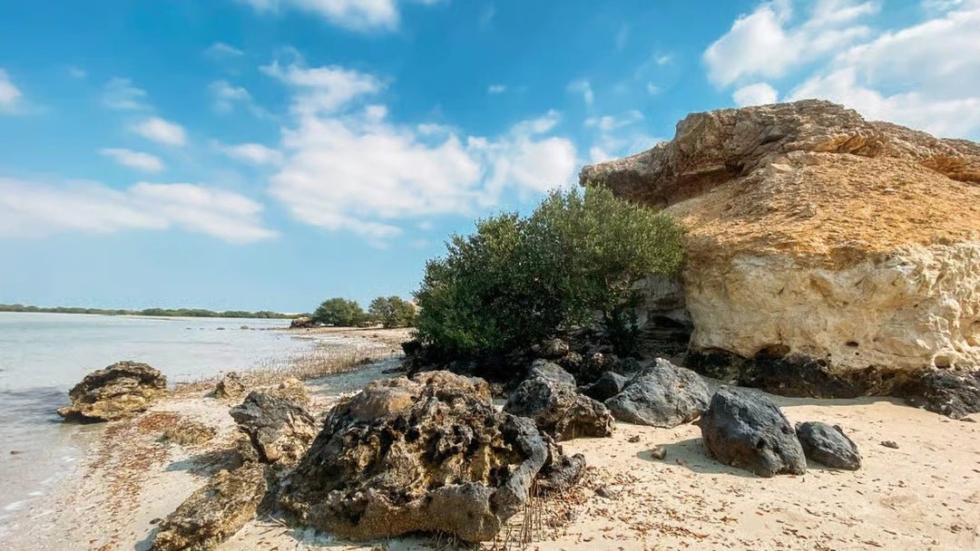 Doha: Premium North of Qatar Cultural and Heritage Tour