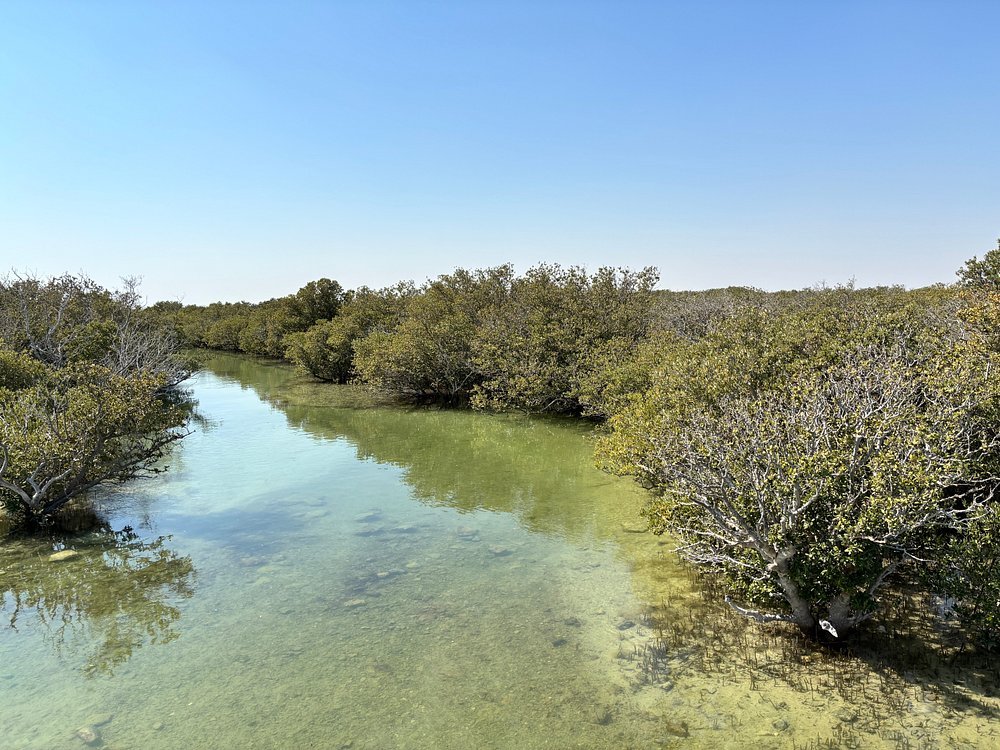 Doha: Premium North of Qatar Cultural and Heritage Tour