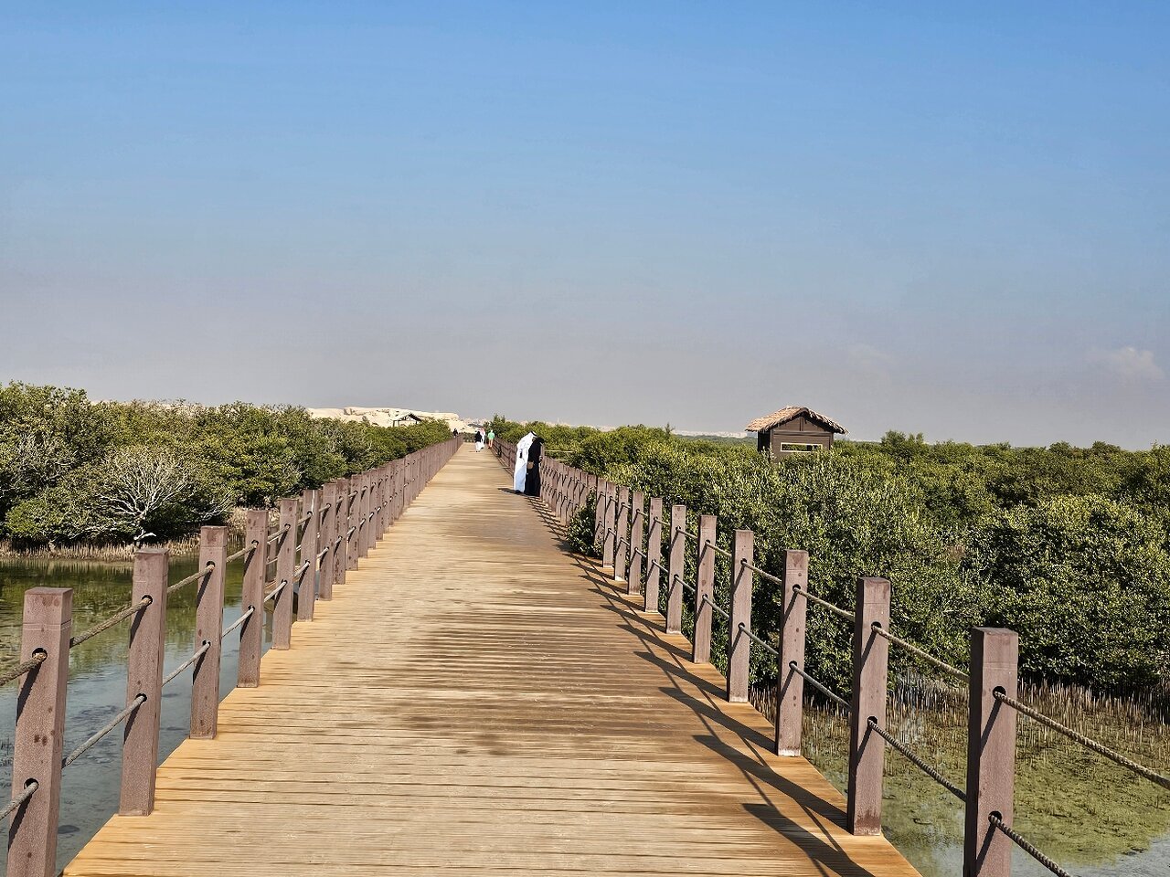 Doha: Private 4 Days City, North, West, and Desert Safari Tour