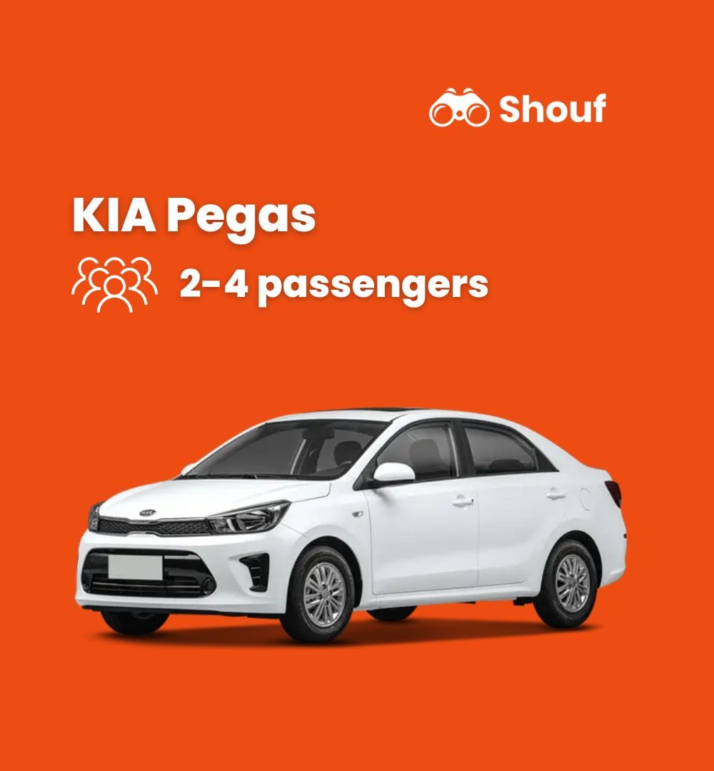Doha: Private Car or Van Rental with Driver