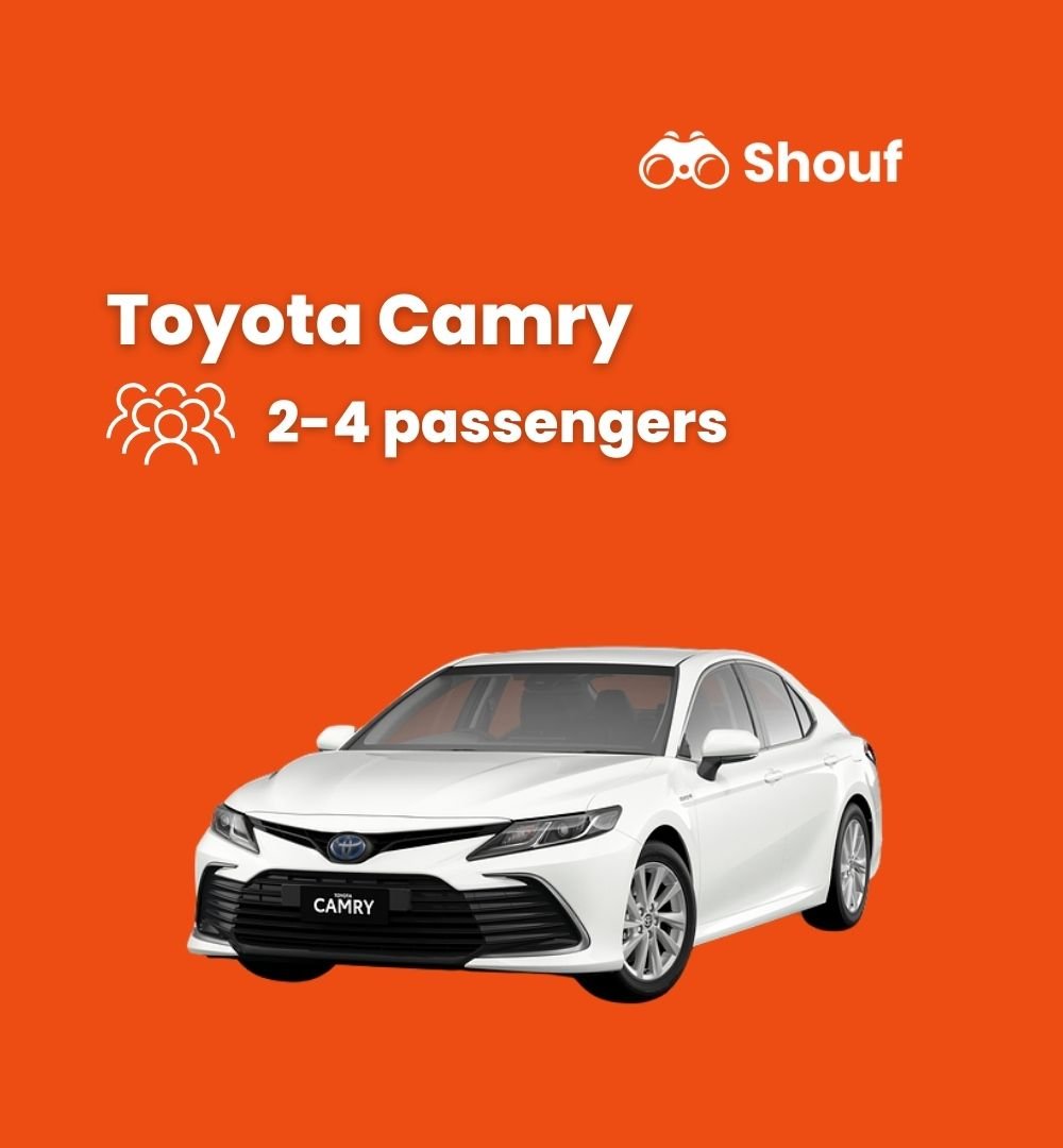 Doha: Private Car or Van Rental with Driver