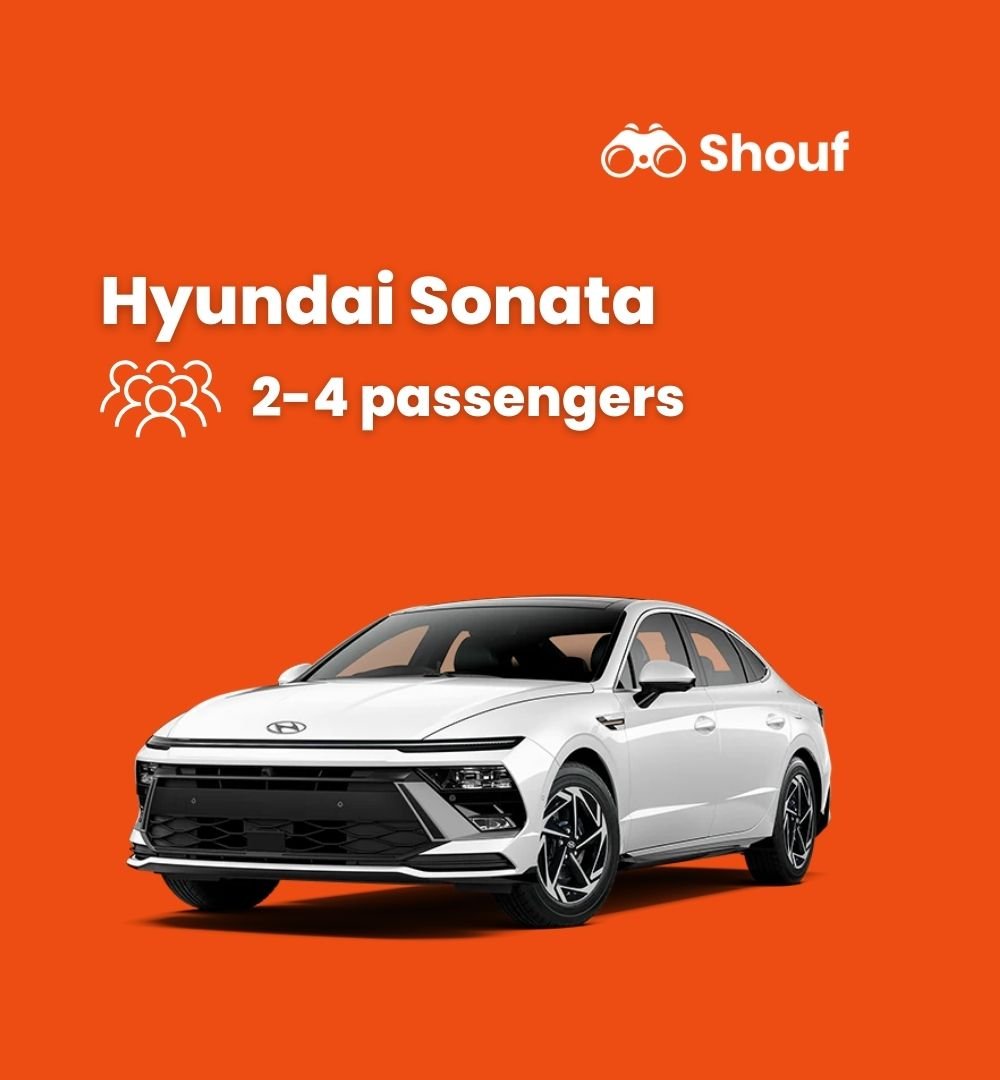 Doha: Private Car or Van Rental with Driver