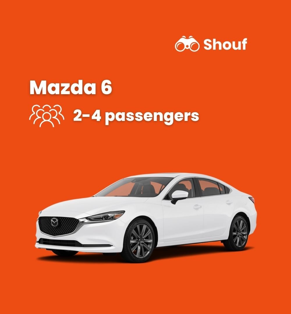 Doha: Private Car or Van Rental with Driver