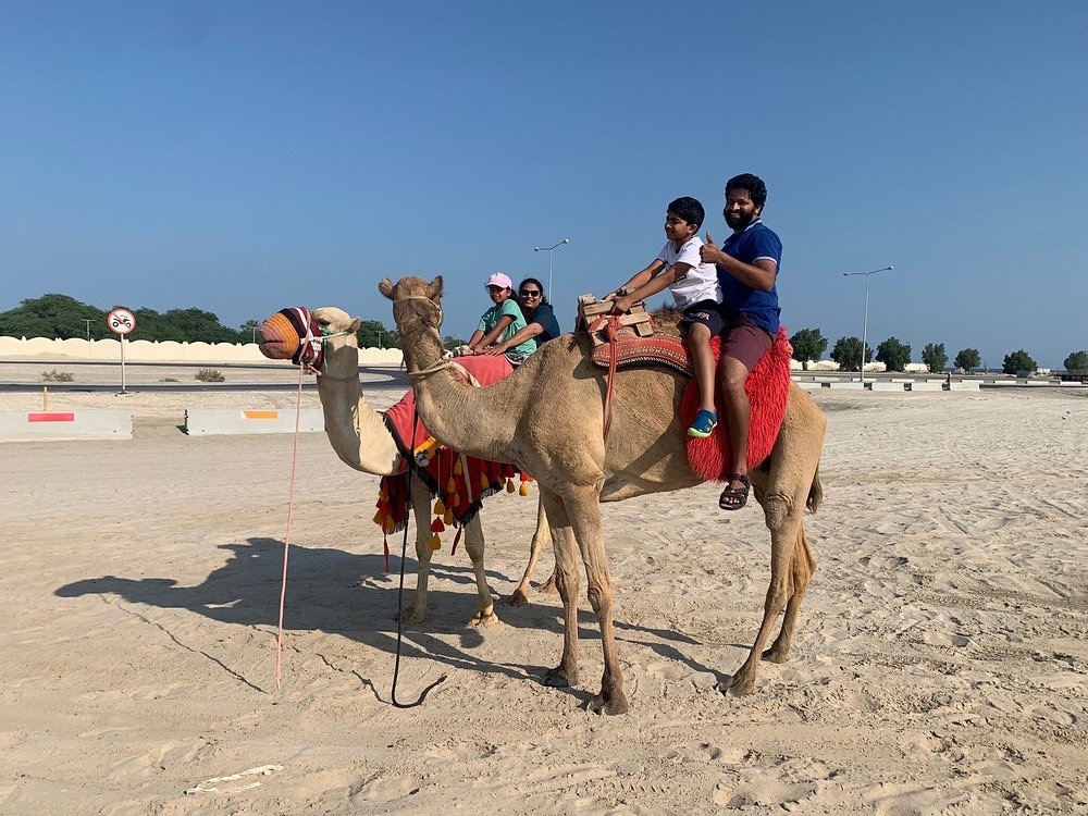 Doha: Private Desert Safari, Camel Ride and Inland Sea Tour