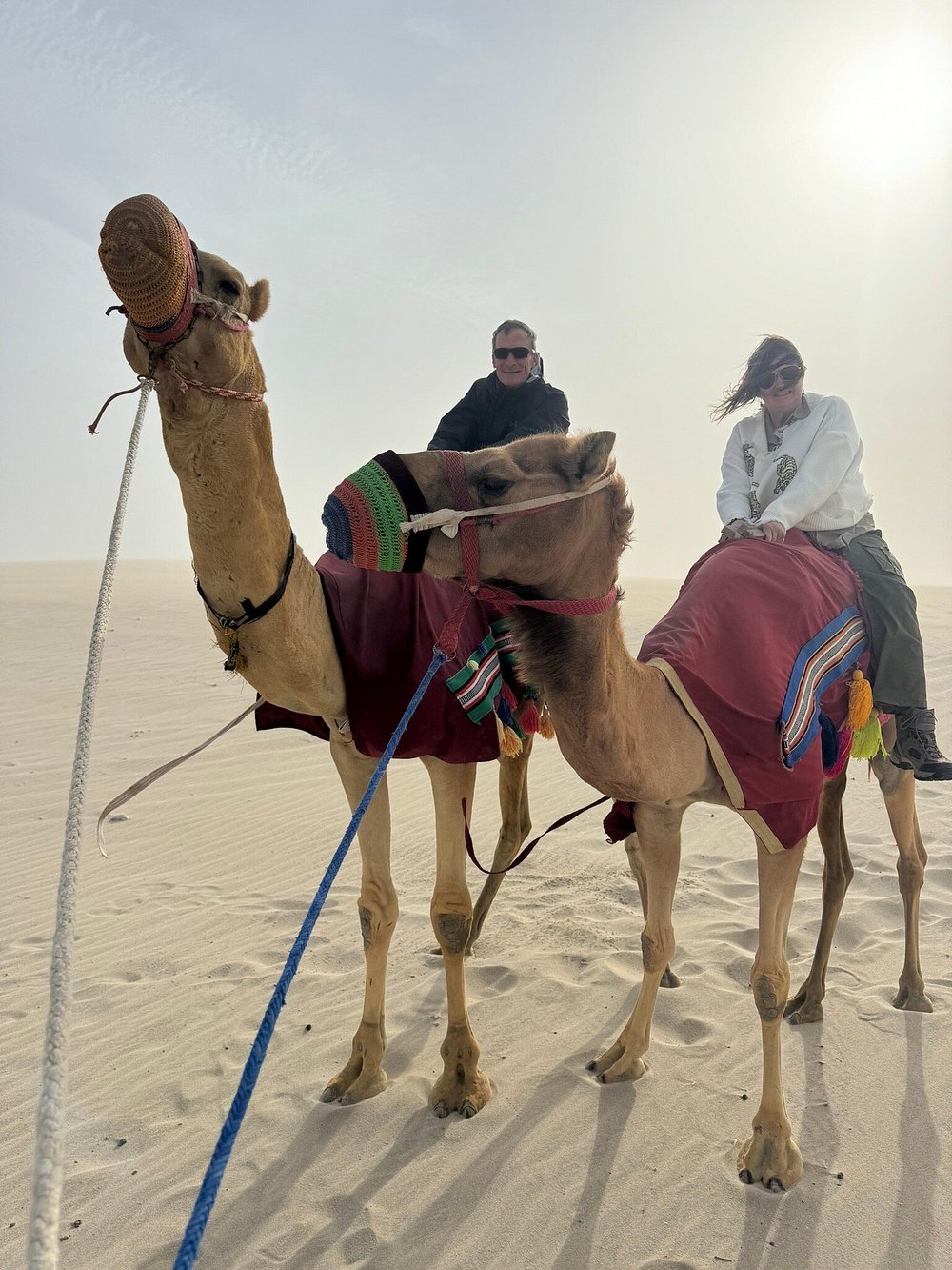 Doha: Private Desert Safari, Camel Ride and Inland Sea Tour